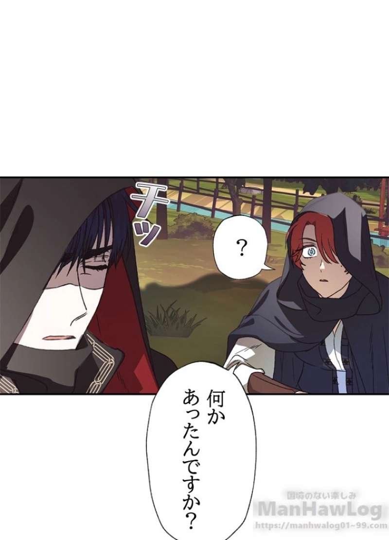 P53