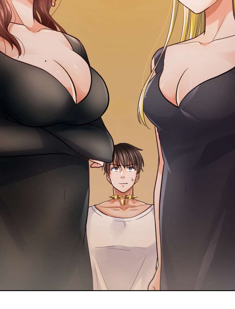 P24