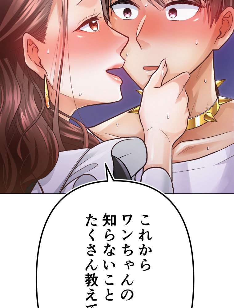 P63