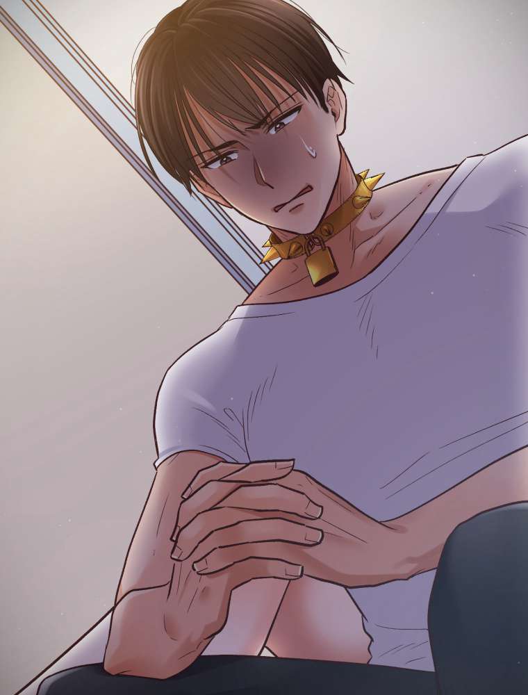 P53