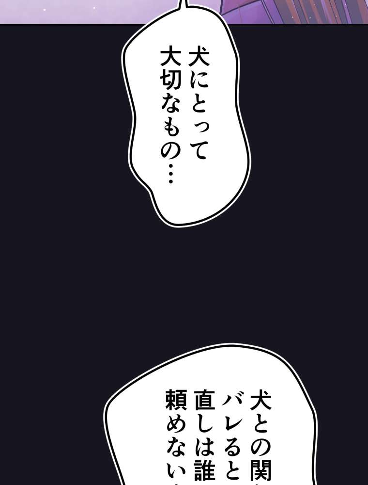 P66