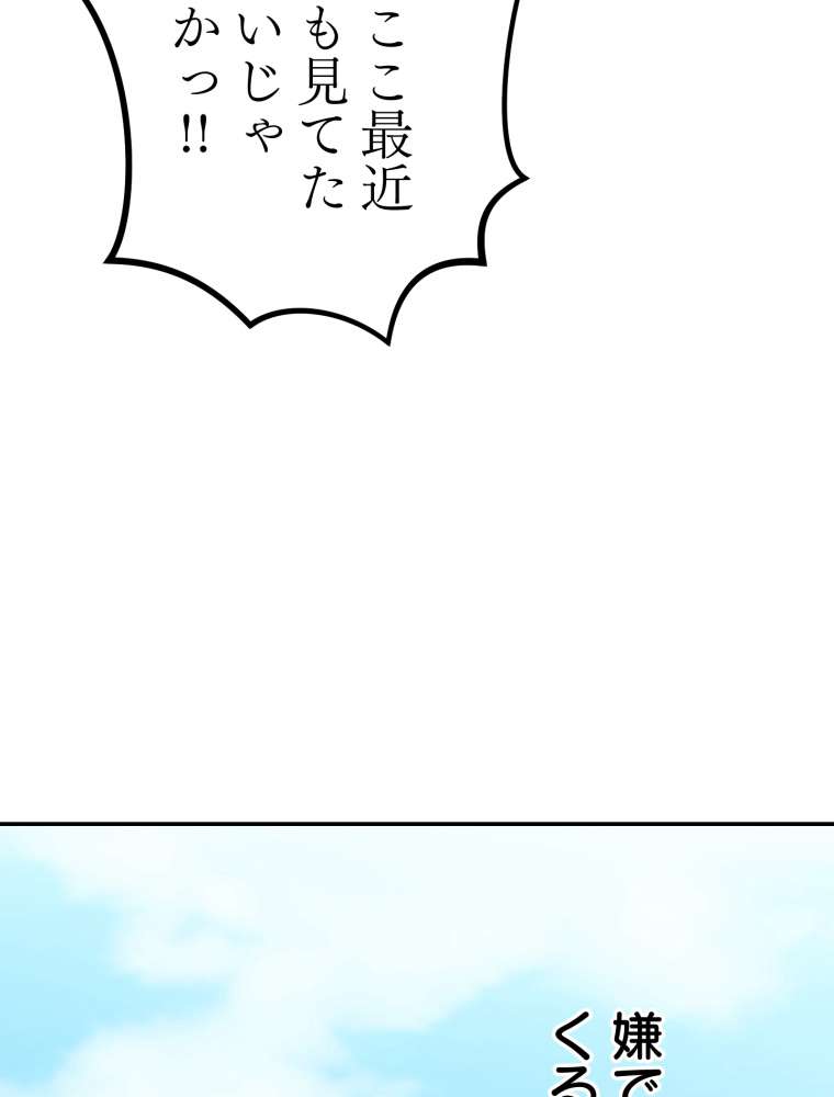 P66
