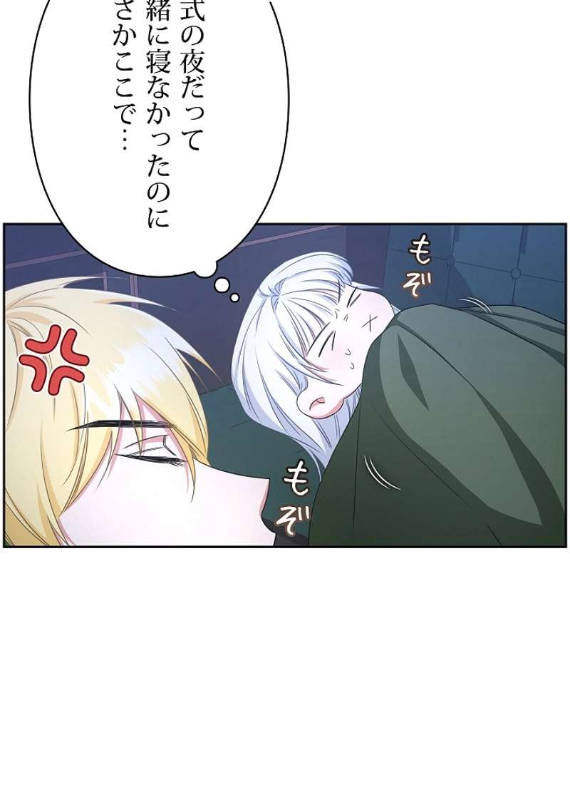 P42