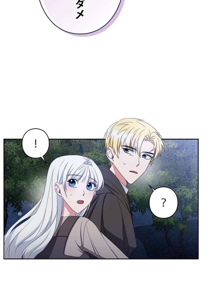 P53