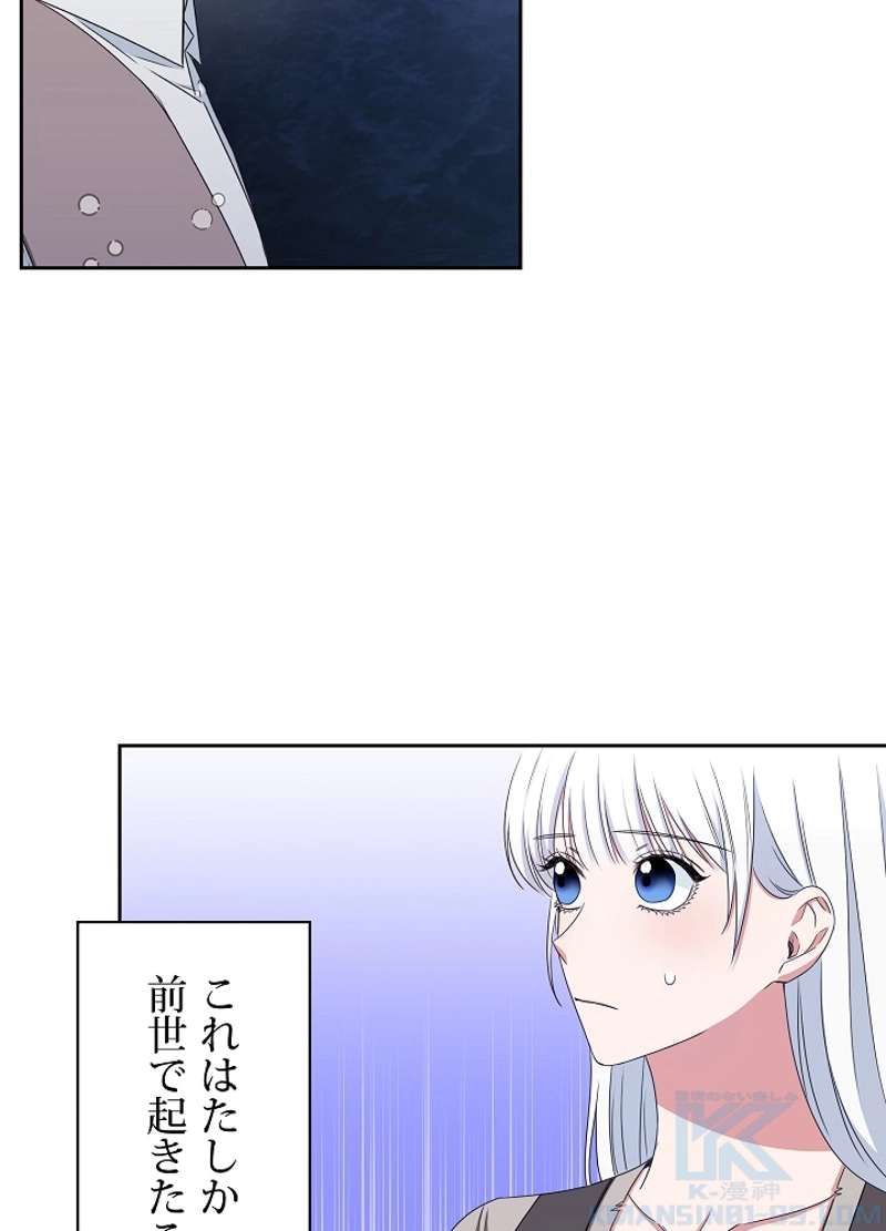 P58