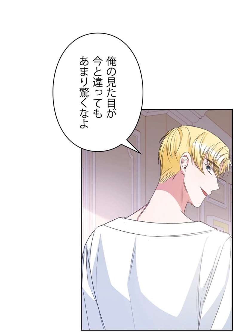 P66