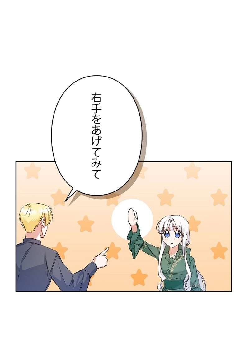 P66