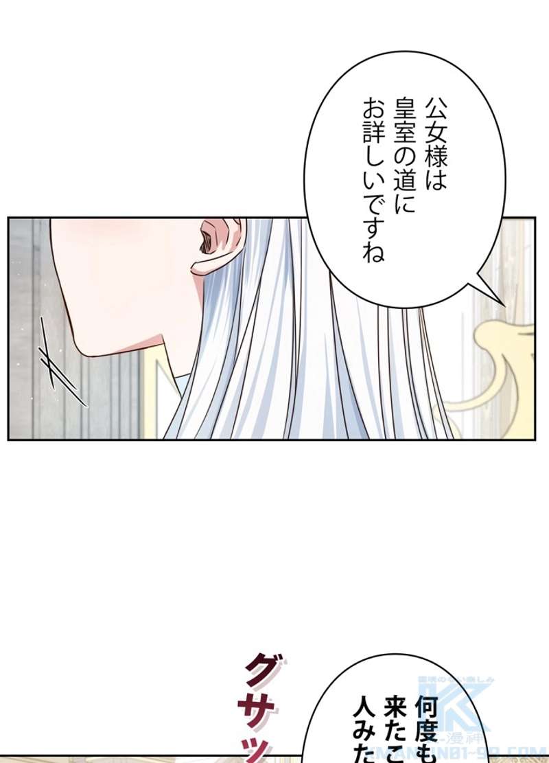 P58