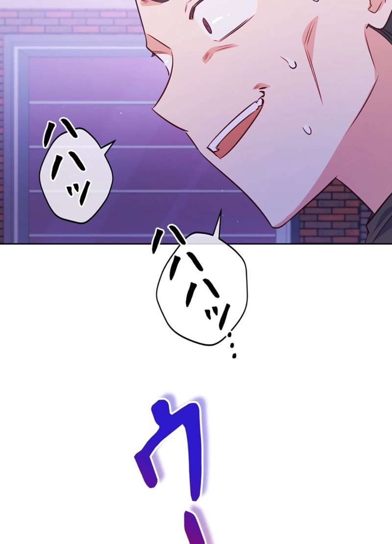 P66