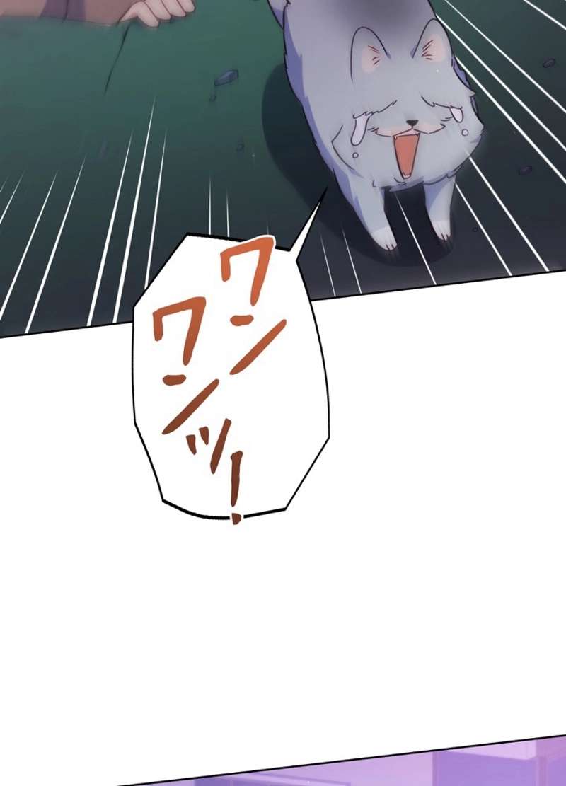 P84