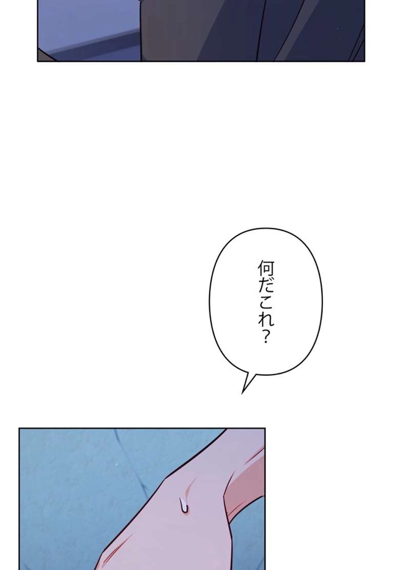 P66