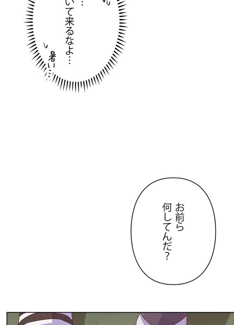 P66