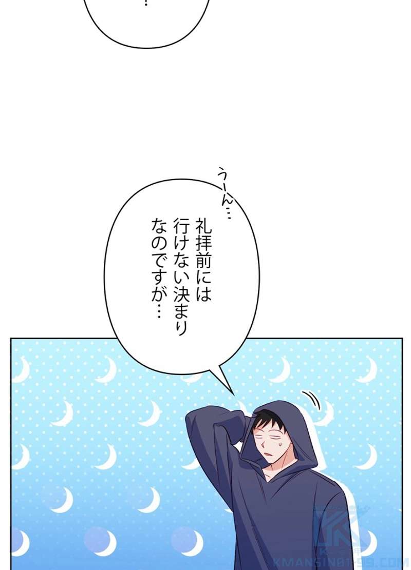 P61