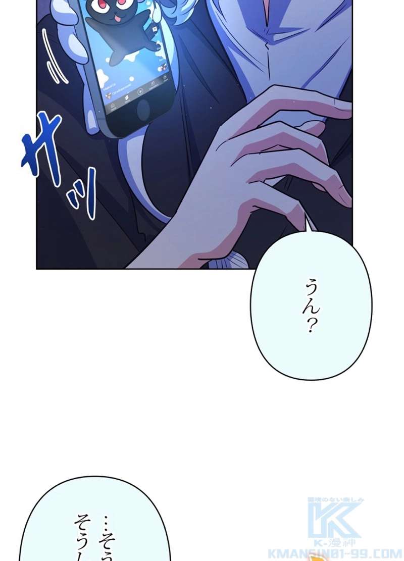 P61