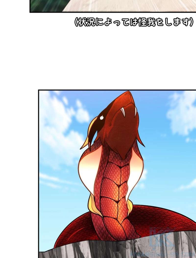 P61