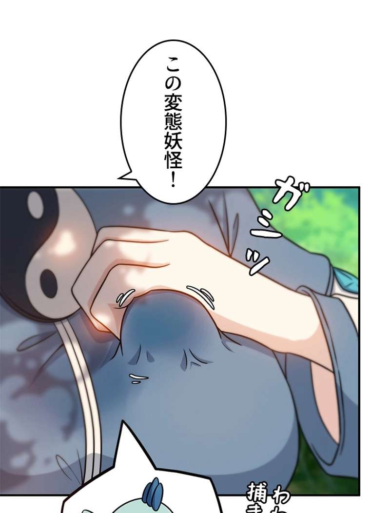 P44
