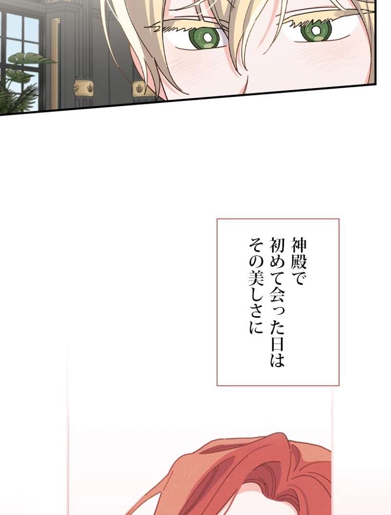 P65