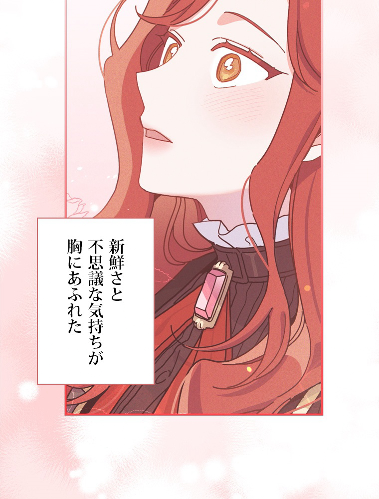 P66