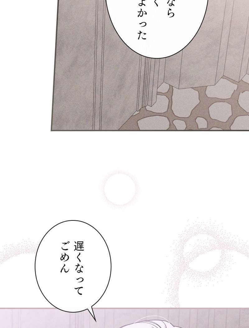 P63