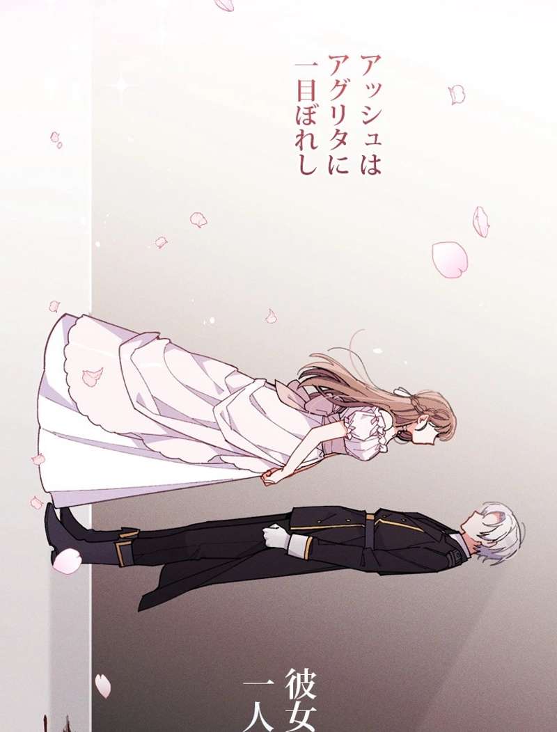 P66