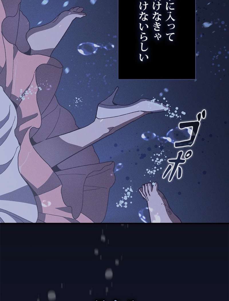 P48