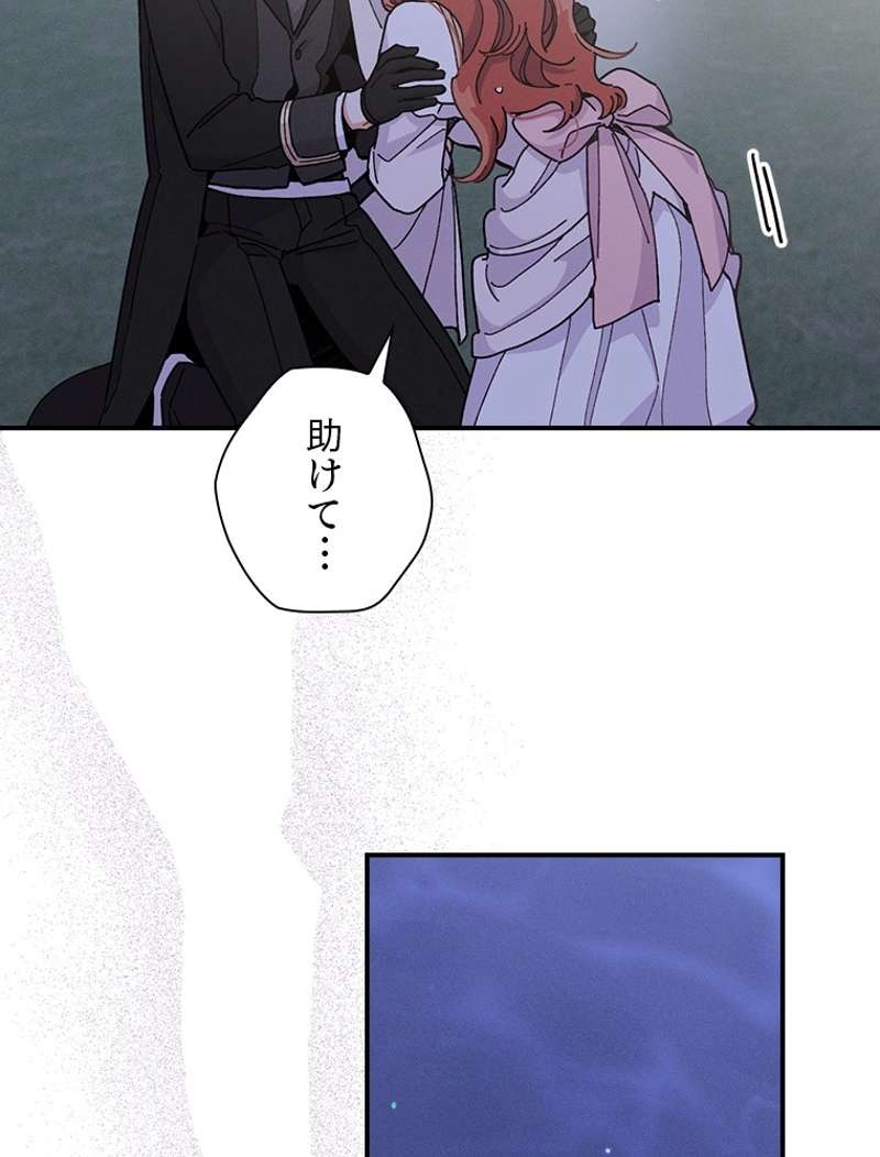 P63
