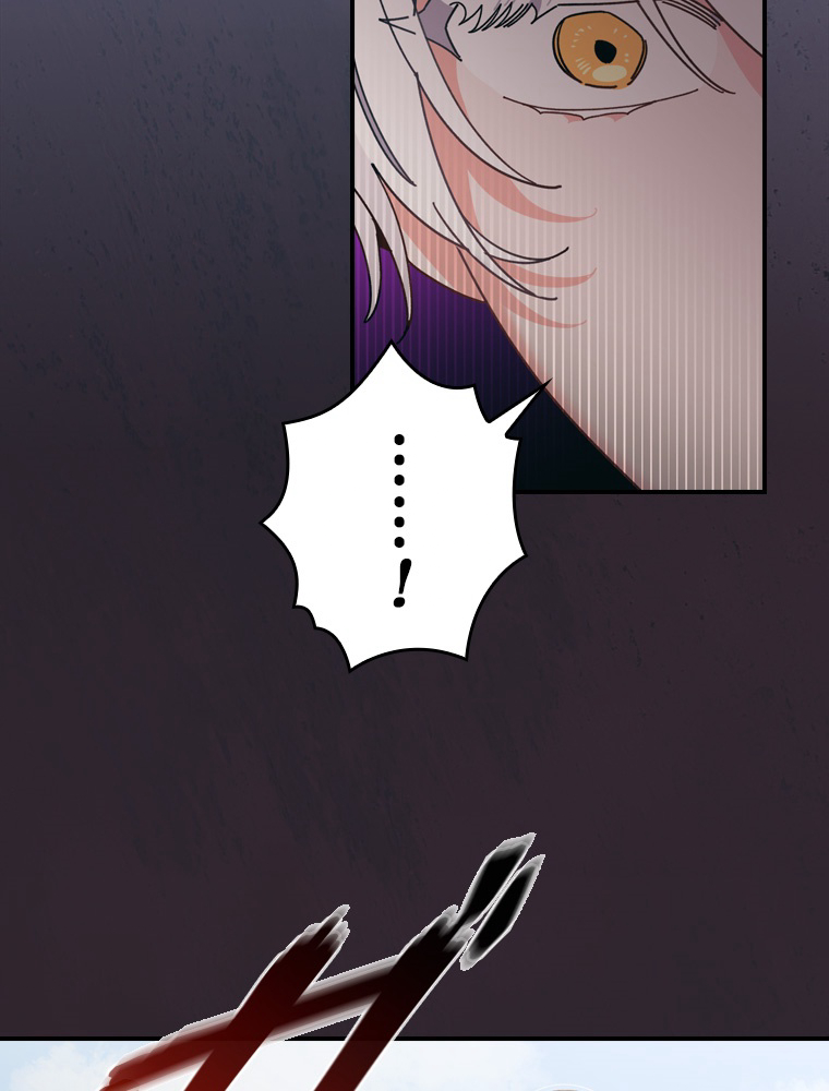 P81