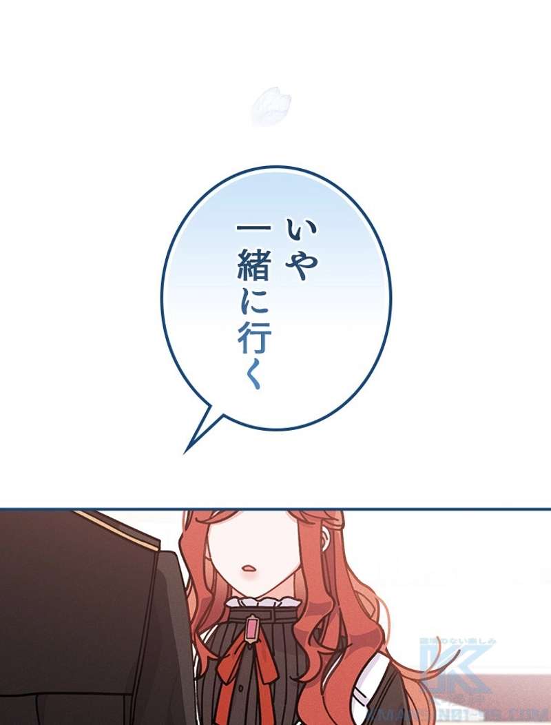P40