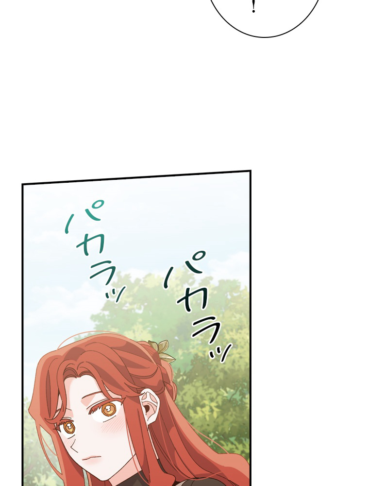P84