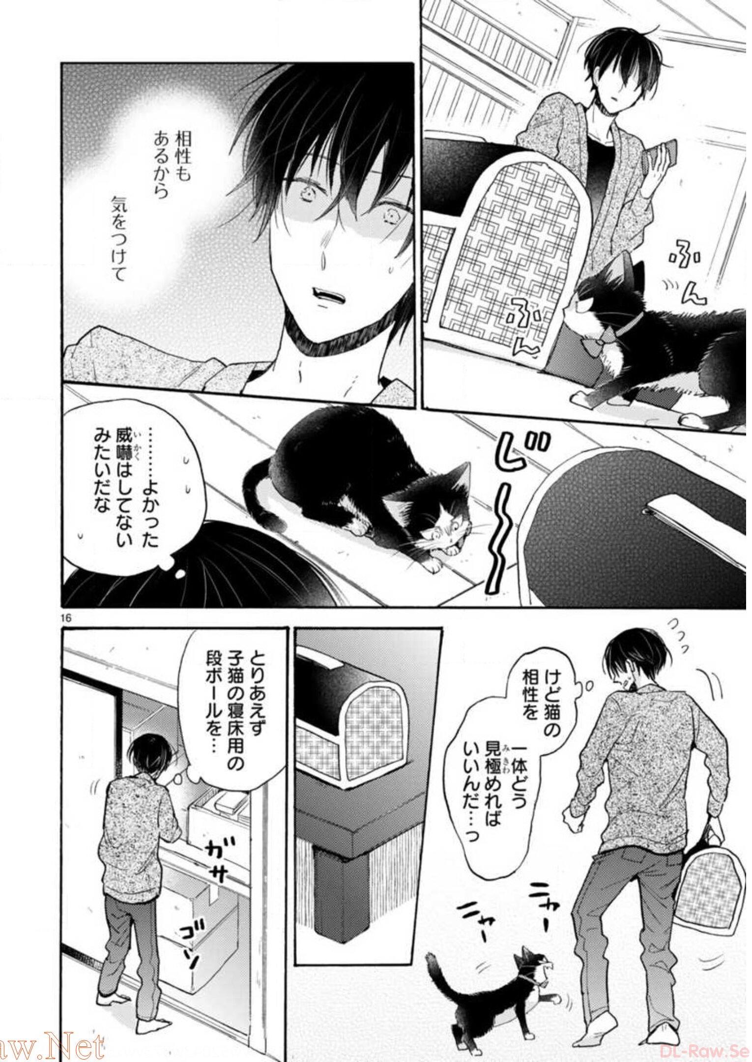 P16