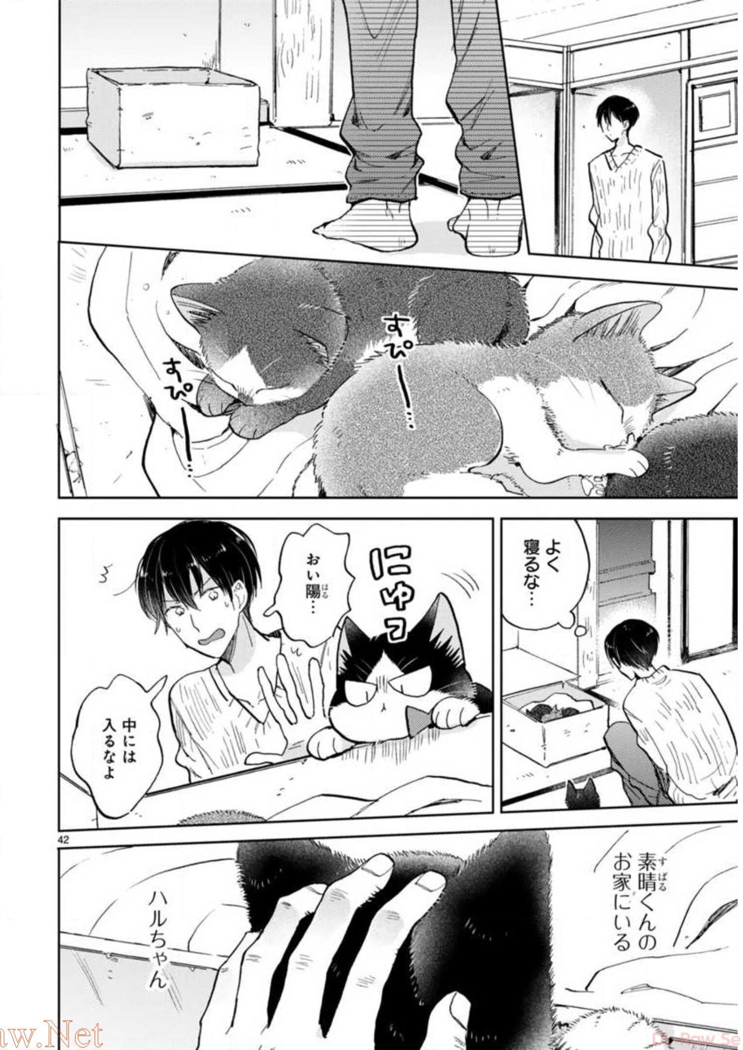 P43