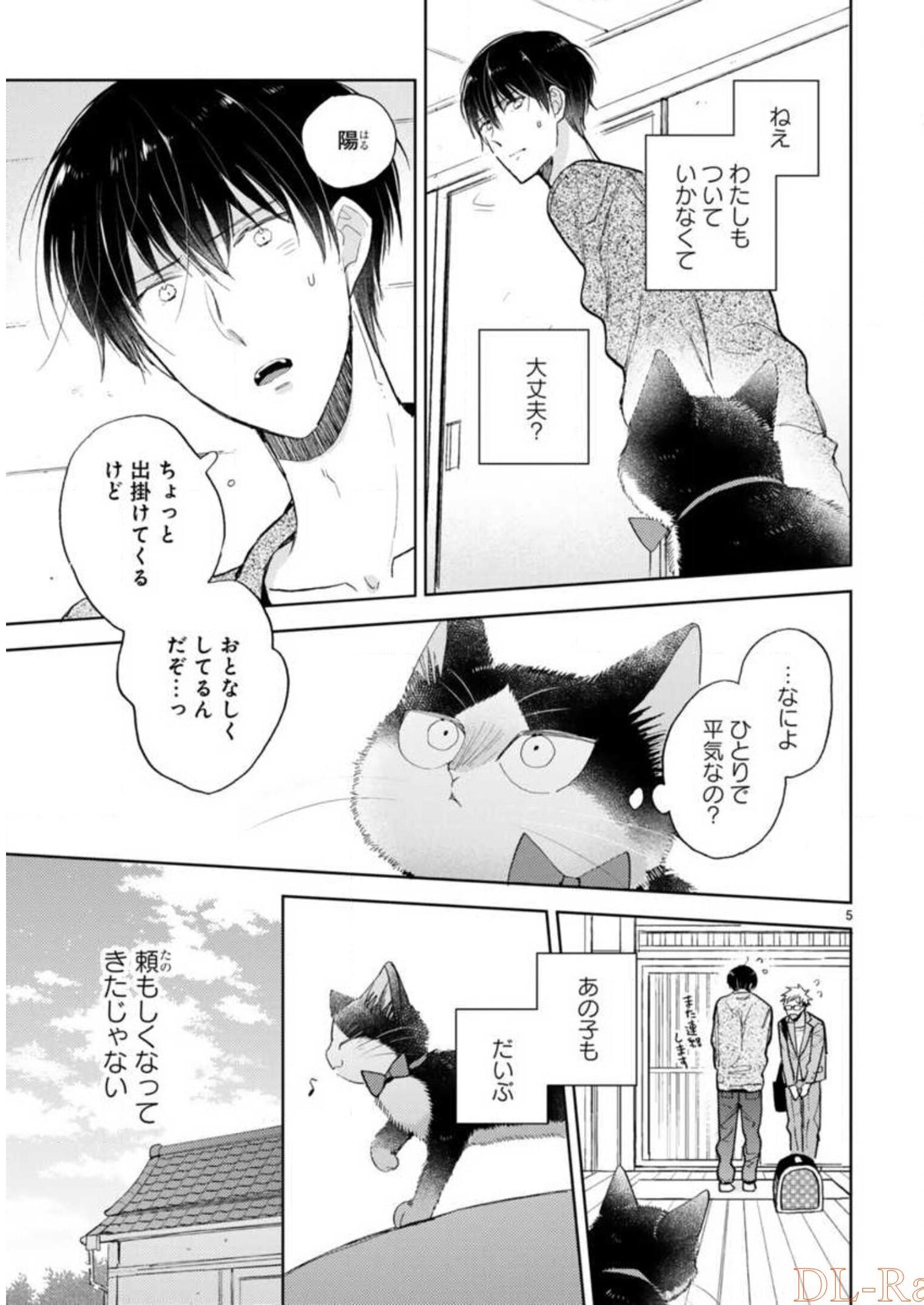 P53