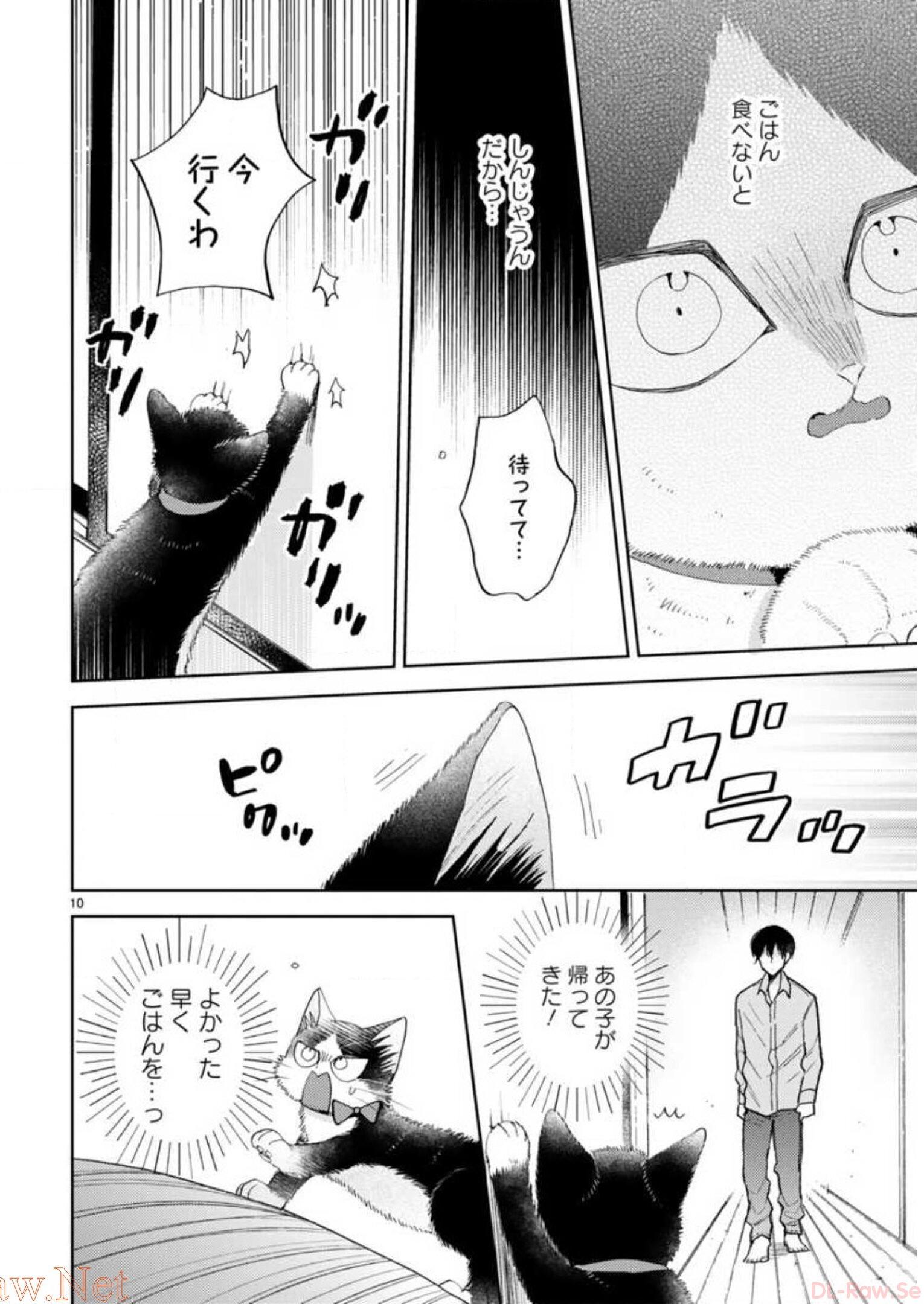 P58