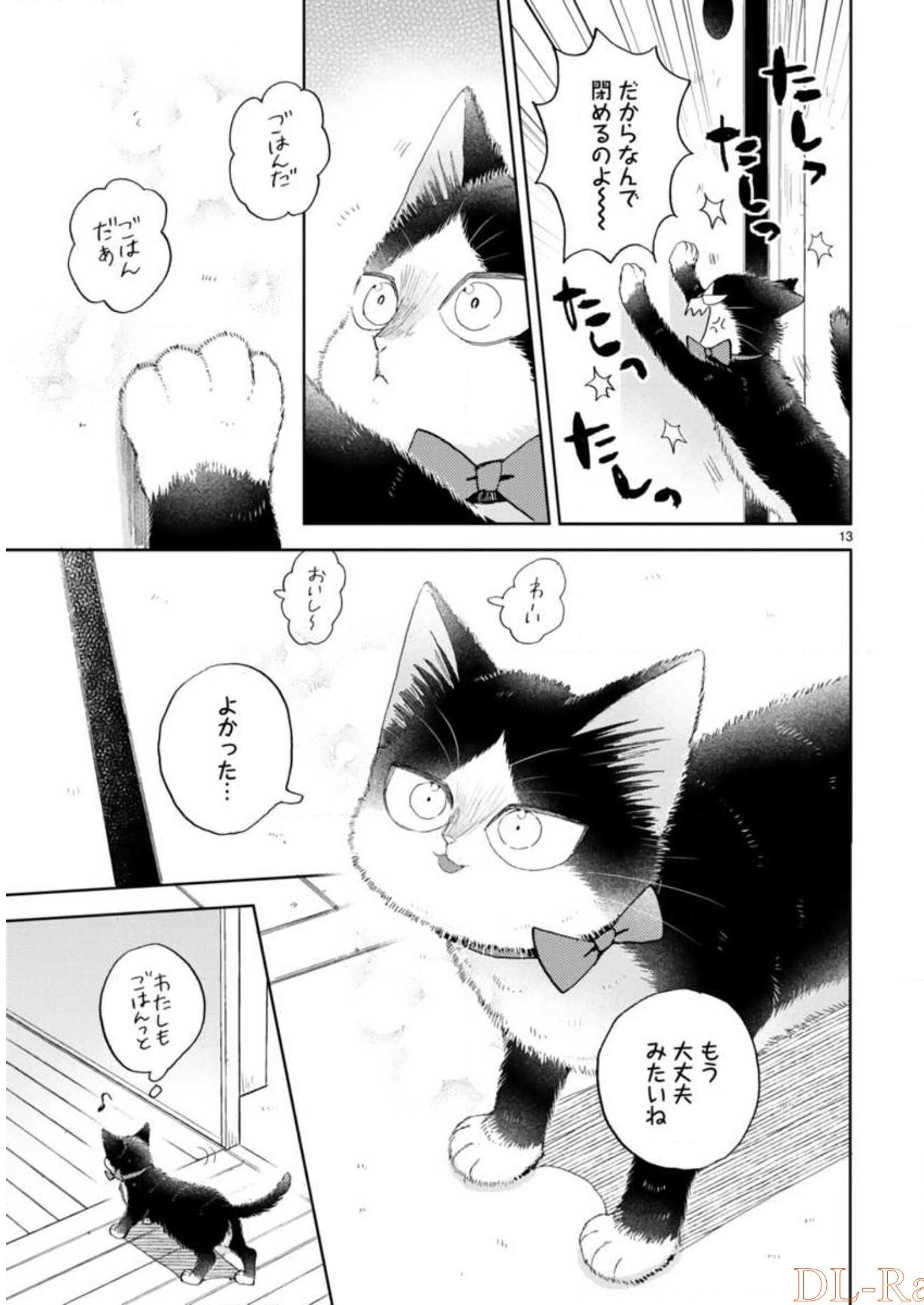 P61
