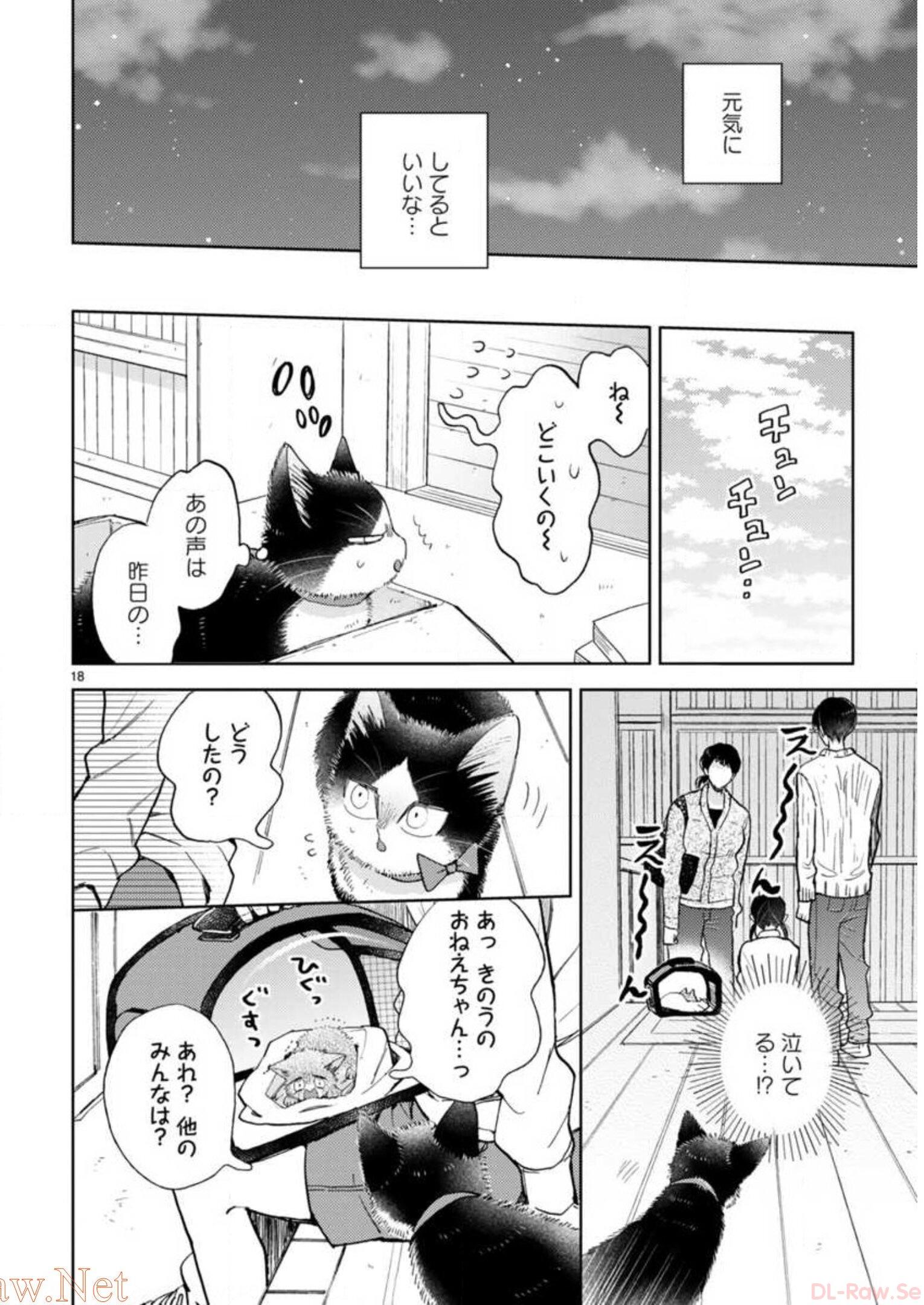 P66
