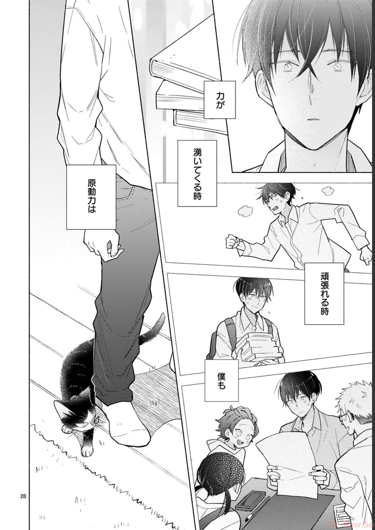 P29