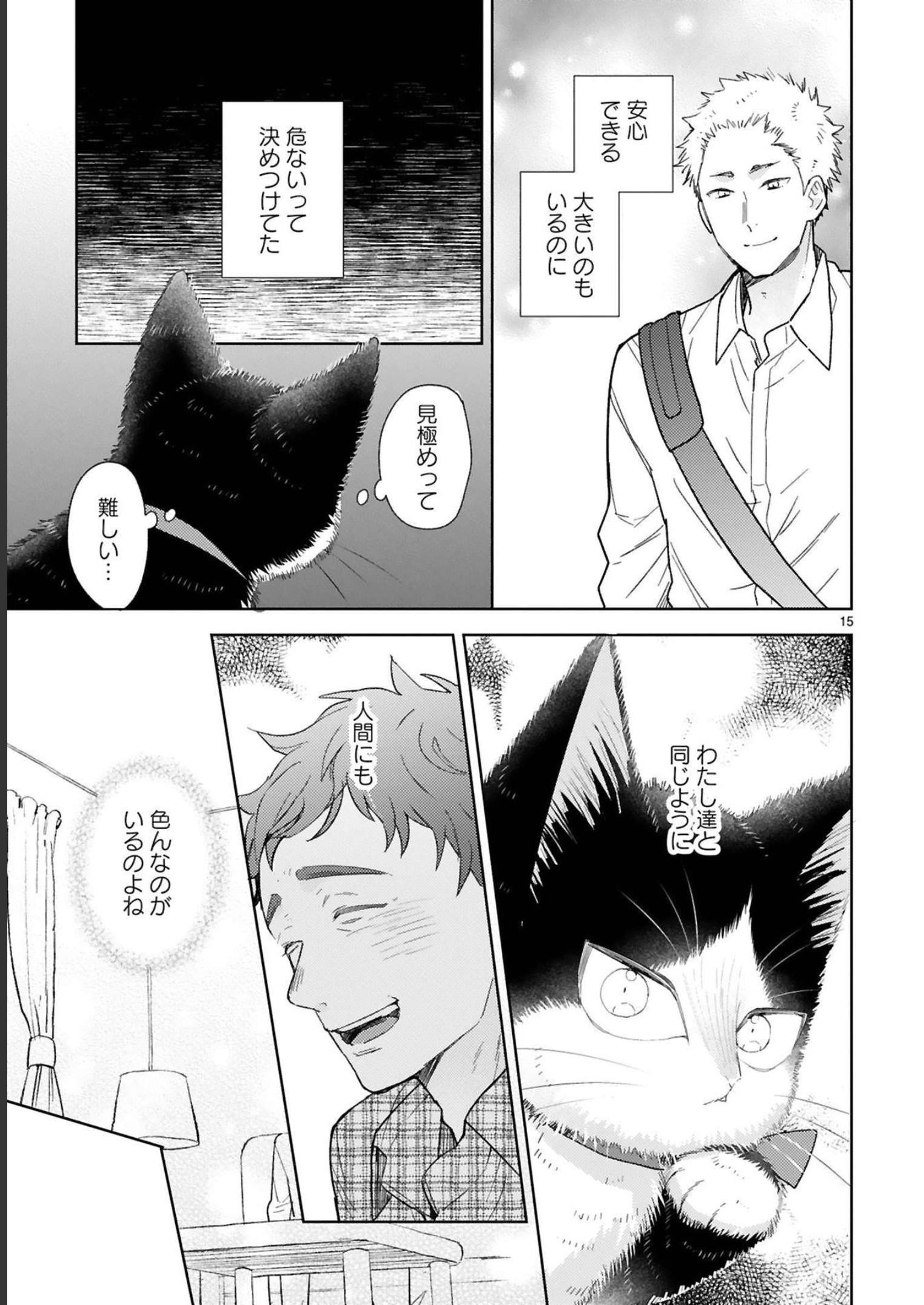 P53