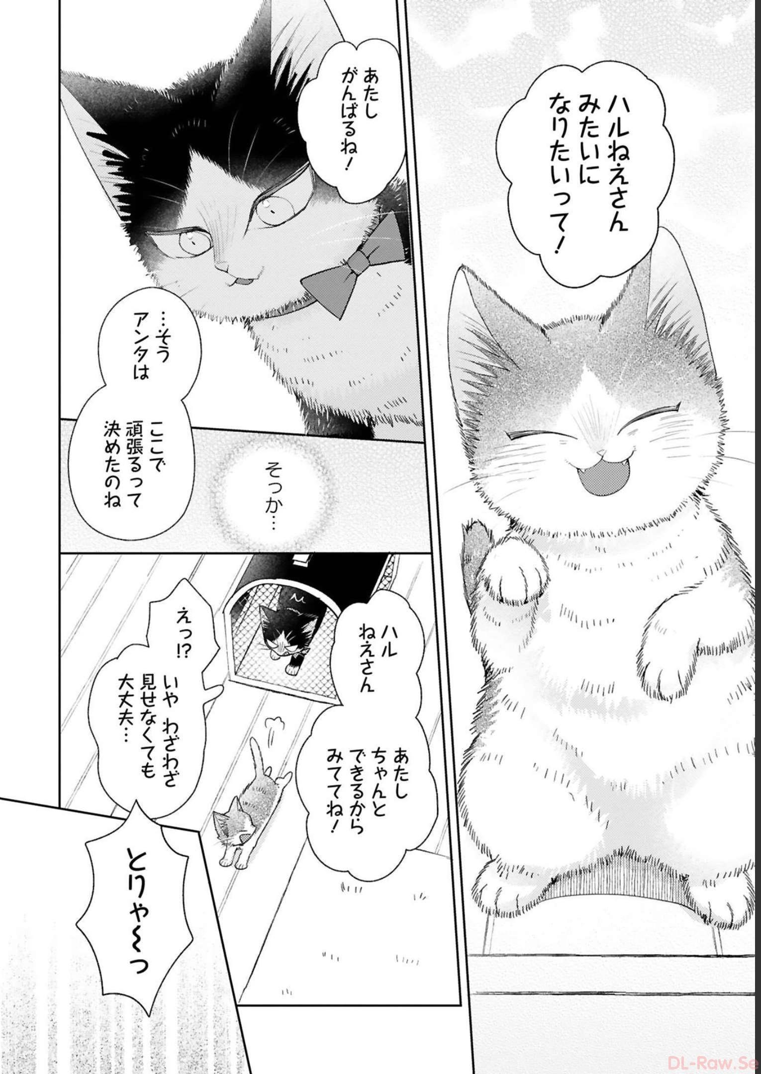 P58