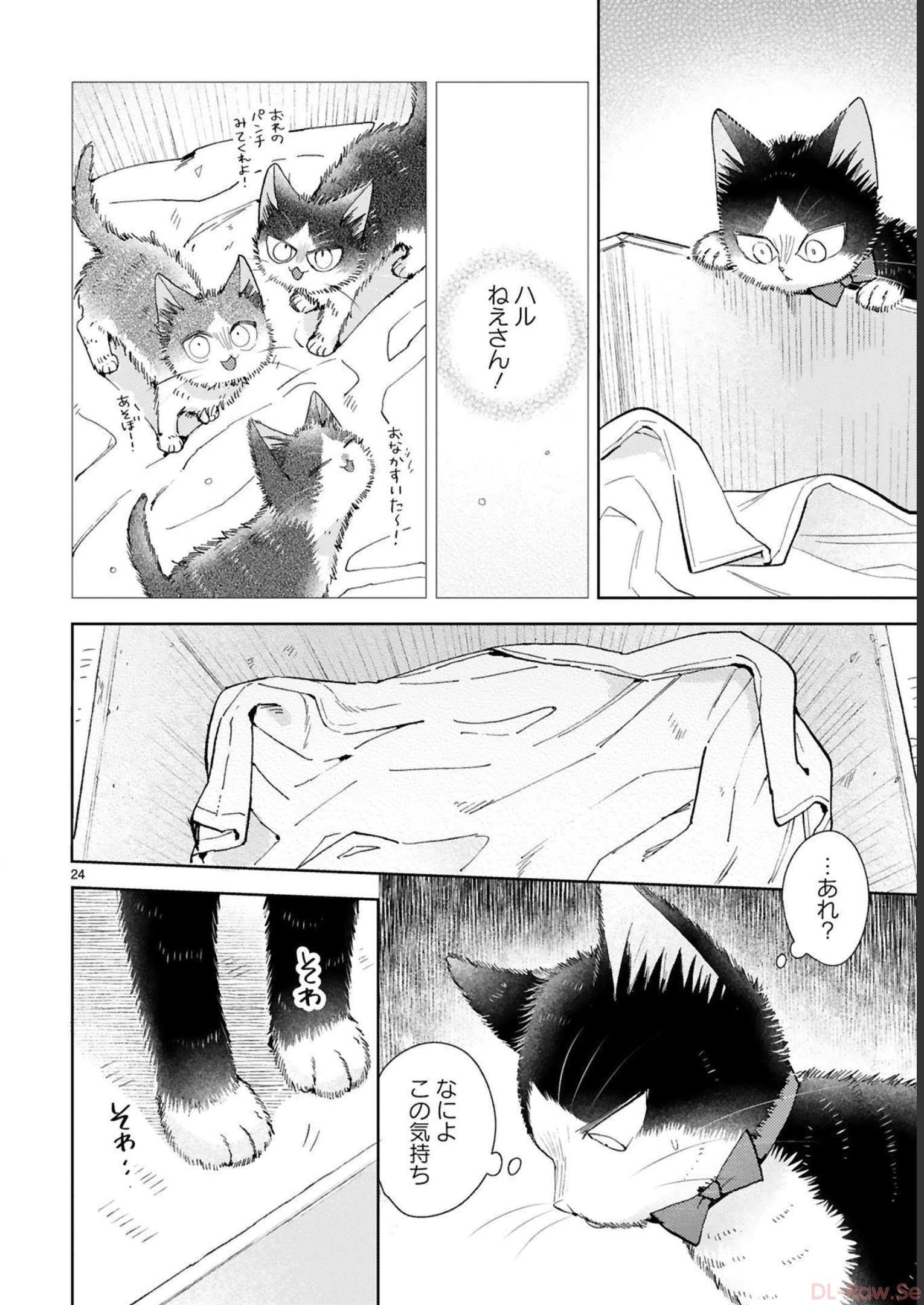 P62