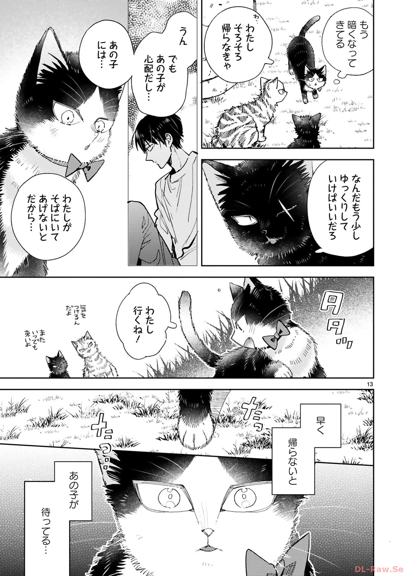 P13