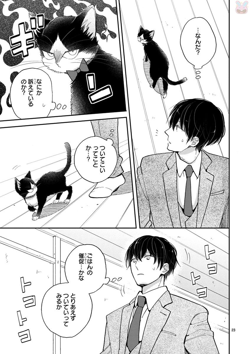 P23