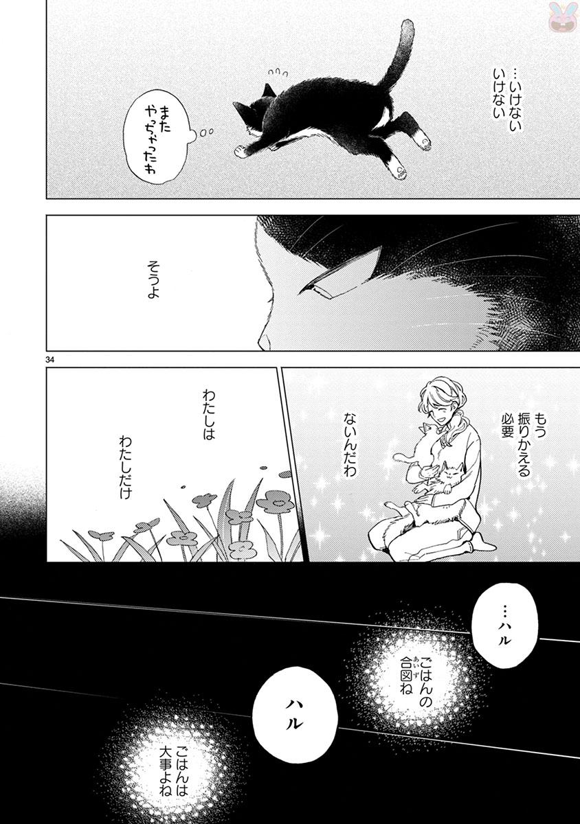 P33