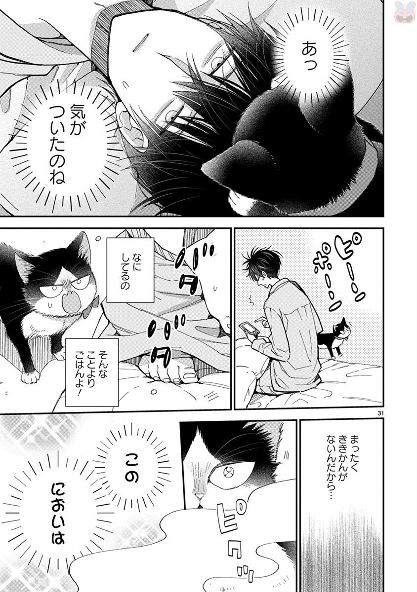 P31