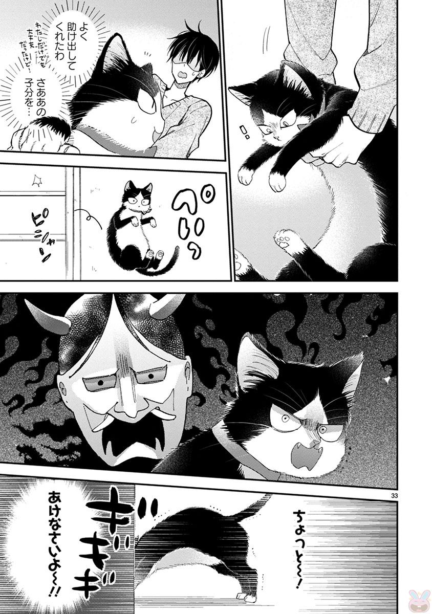 P33