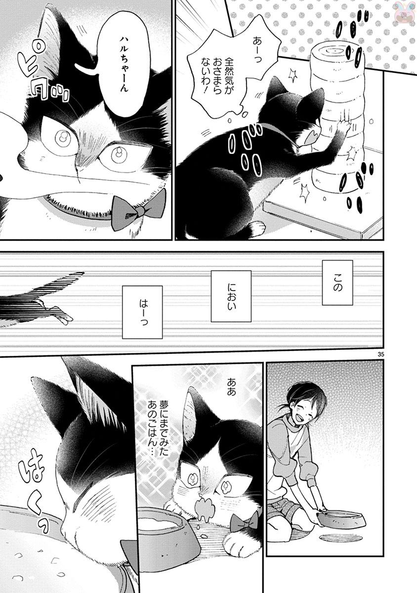 P35