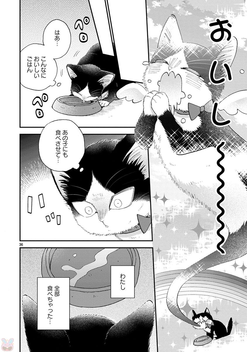 P36