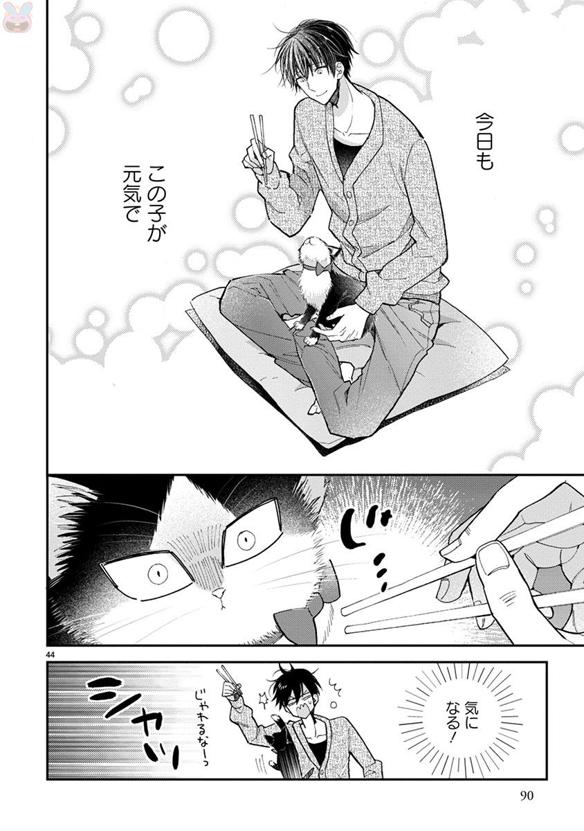 P44