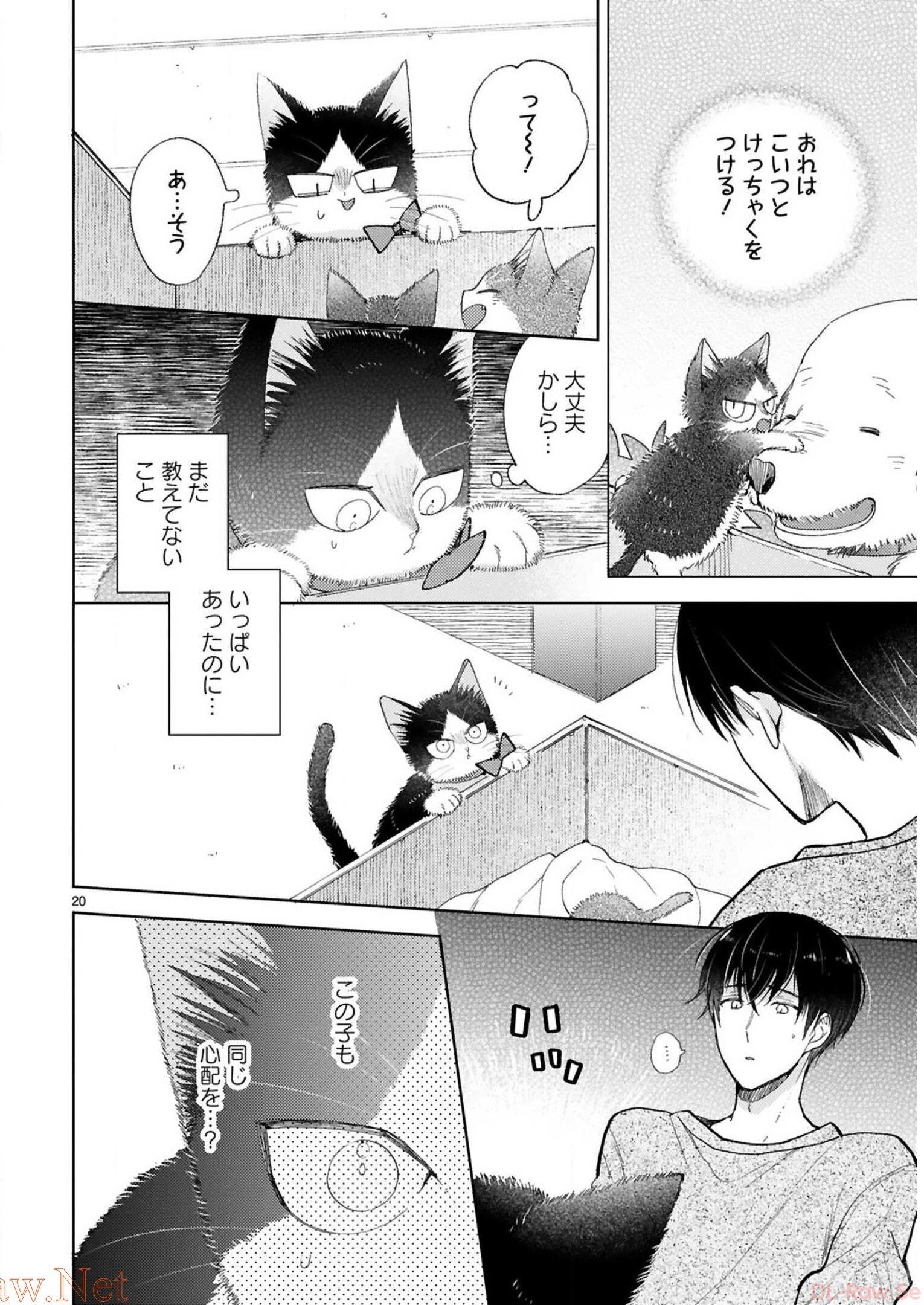 P53