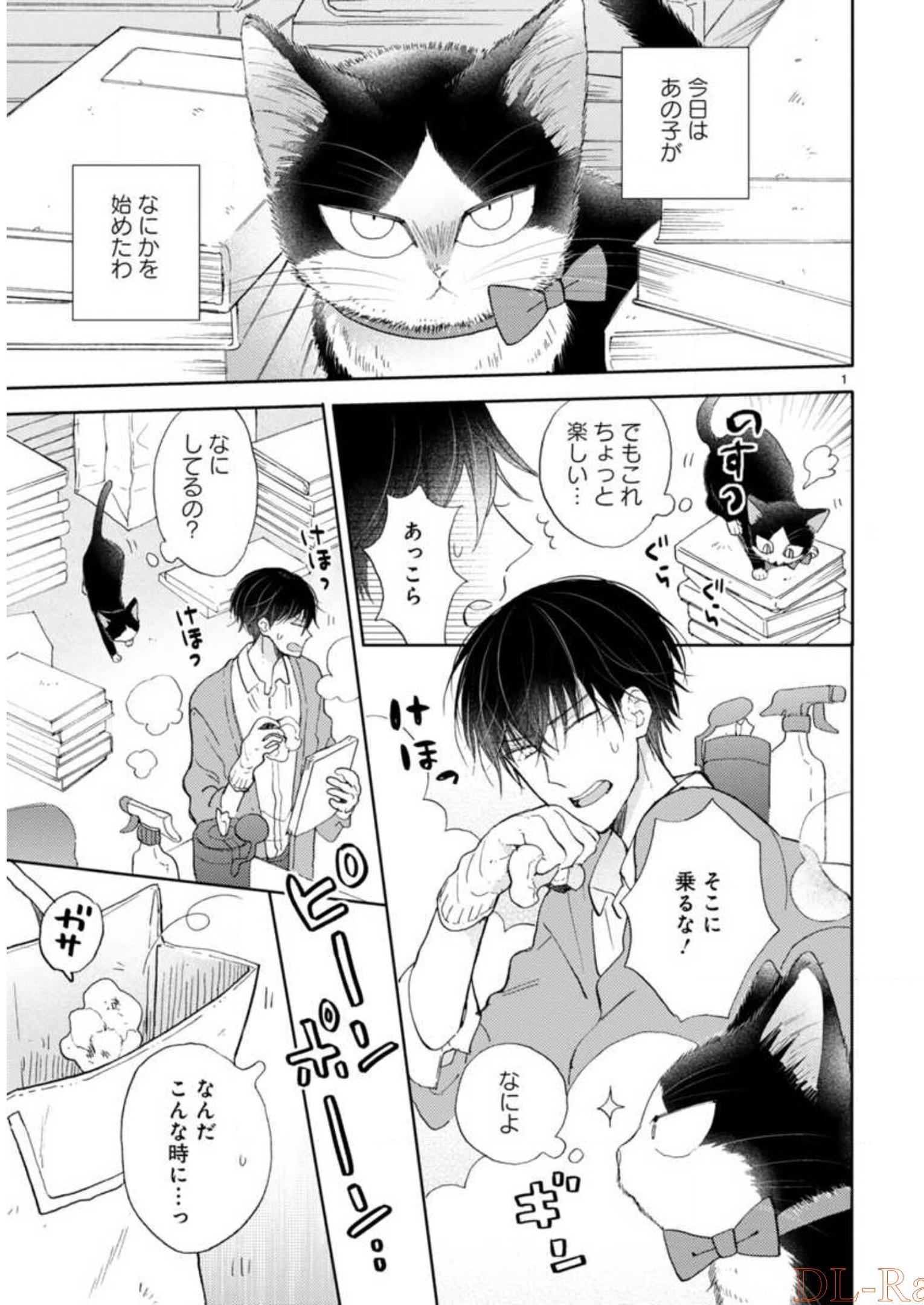 P33