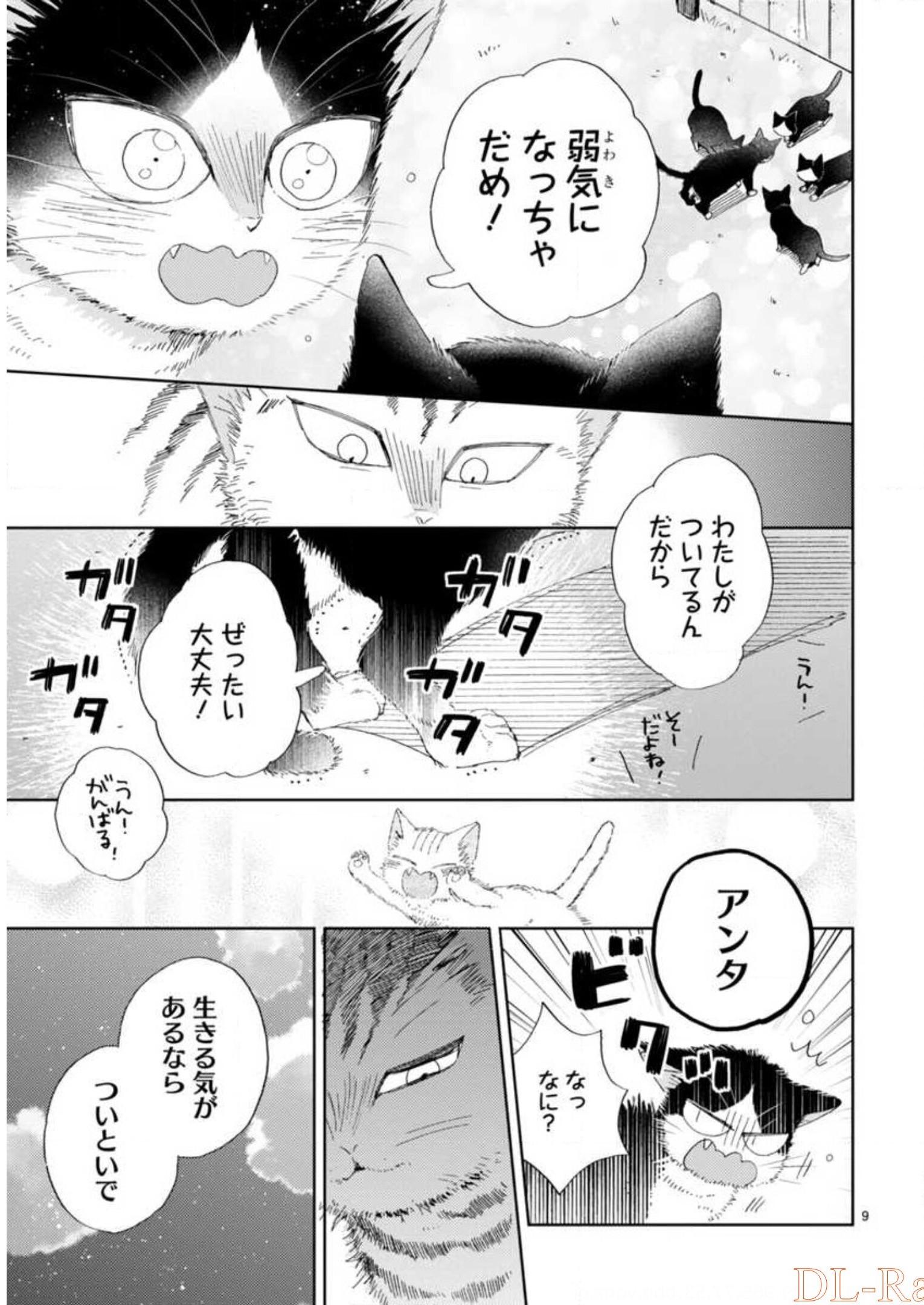 P41